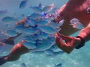 石垣島ウェイクボード 幻の島、青の洞窟シュノーケルならSEACATの写真4