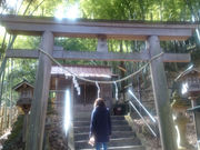 川治温泉神社の写真1