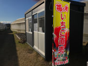 苺の郷 中里農園の写真2