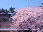 安産日吉神社の写真3