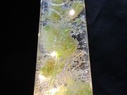 プリザ夢華の写真4