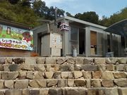 しぃちゃんの森の写真2