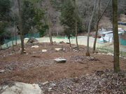 しぃちゃんの森の写真3