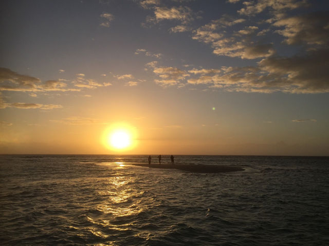 百合ヶ浜朝日ツアー_tome cruise