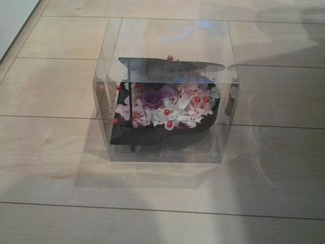 Flower Dream