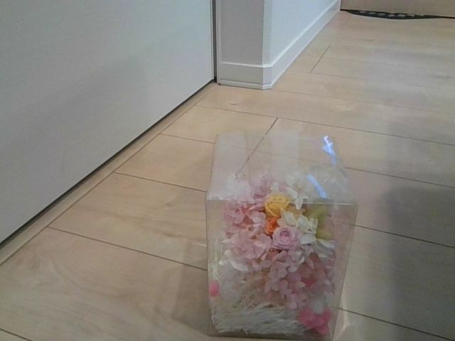 Flower Dream