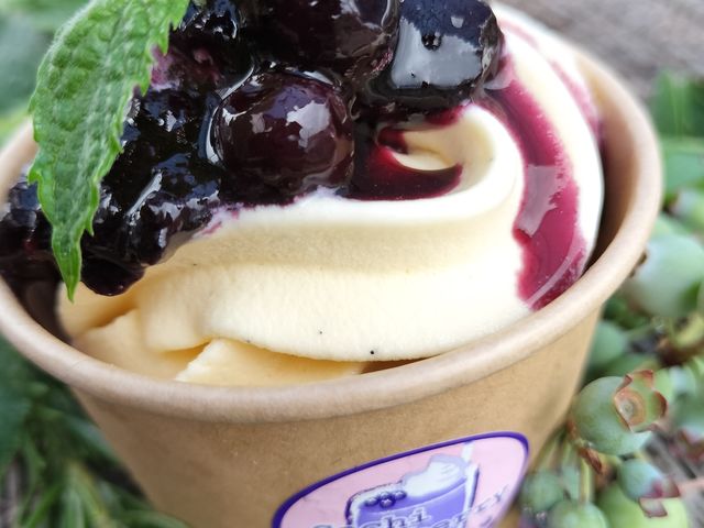 バニラアイスのブルーベリーソースかけ_Sachi Blueberry Farm