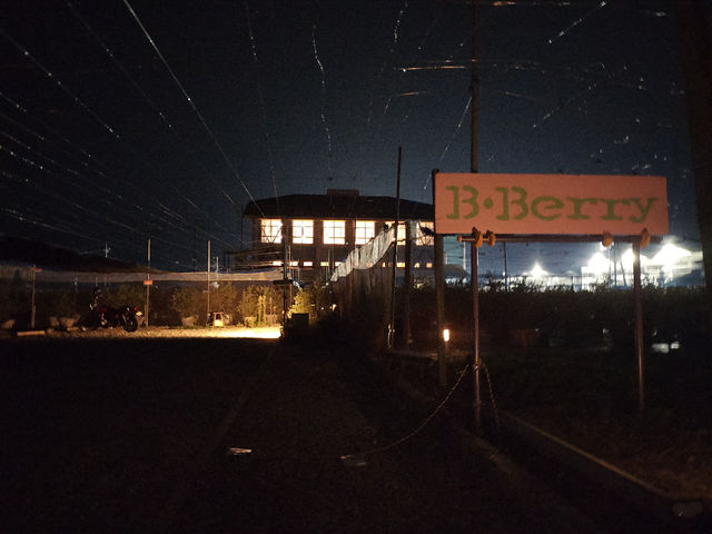夜景です。_Sachi Blueberry Farm