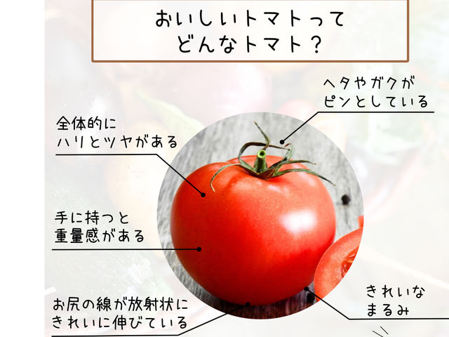 戸田農園