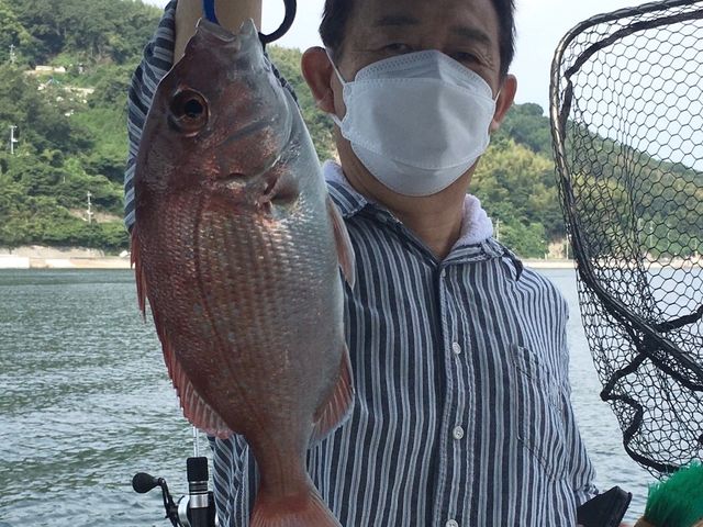 遊船 やすまる