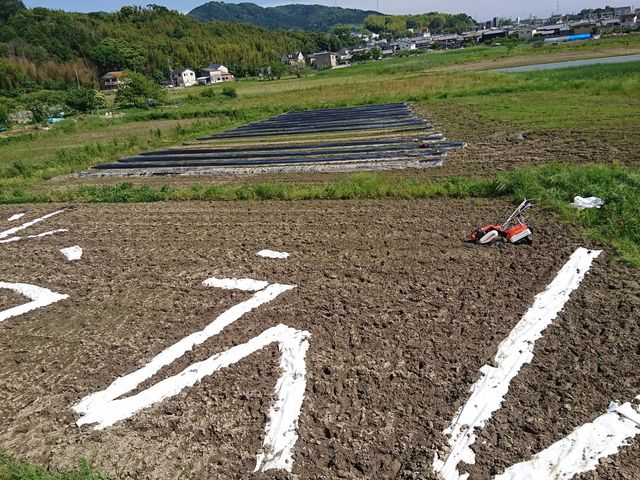 貸し農園_大きな小石
