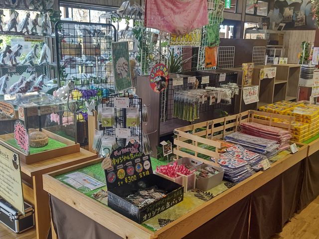 売店(お土産)_ディノアドベンチャー名古屋