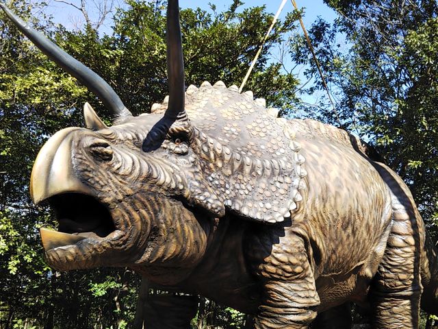 トリケラトプス_ディノアドベンチャー名古屋