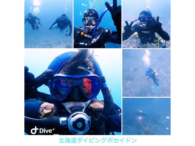 スタッフが、ご参加中のゲスト様の様子を、画像と動画で撮影します。ご希望の方には、お帰りの前にデータをプレゼント。お帰り後も思い出として、末長くお楽しみ下さい。_北海道ダイビングショップ Poseidon
