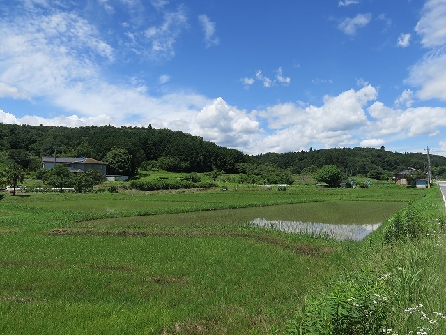 北側からの熊井の森の眺望(現在は手前に直売所あり)_かわせみハウス