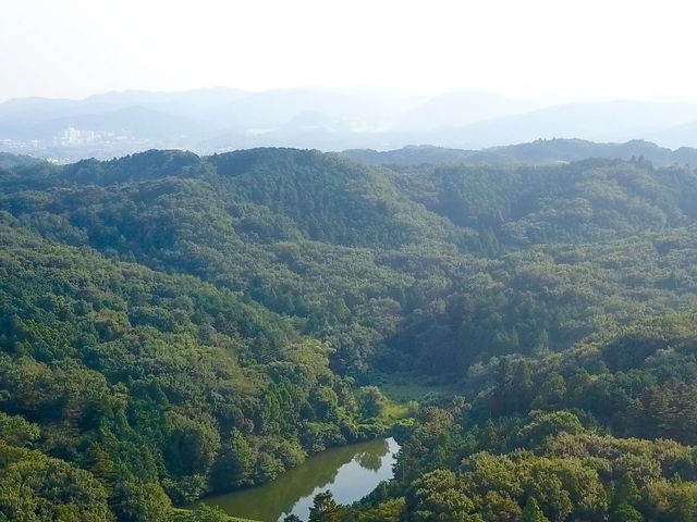 ドローン撮影した熊井の森の全景(春期)_かわせみハウス