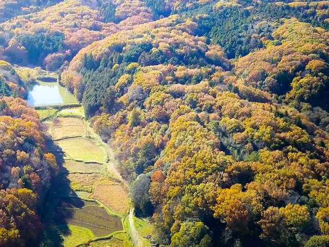 ドローン撮影した熊井の森の全景(秋期)_かわせみハウス