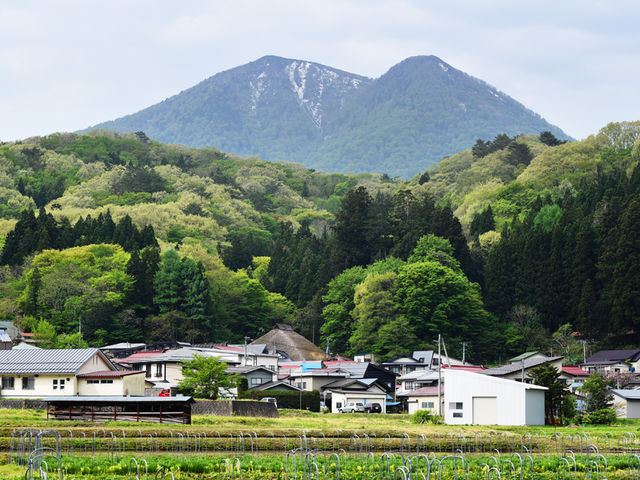 一般社団法人湯本森・里研究所