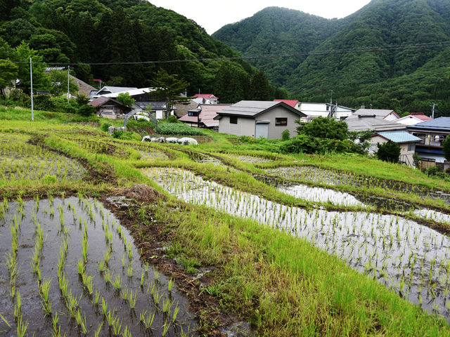 一般社団法人湯本森・里研究所