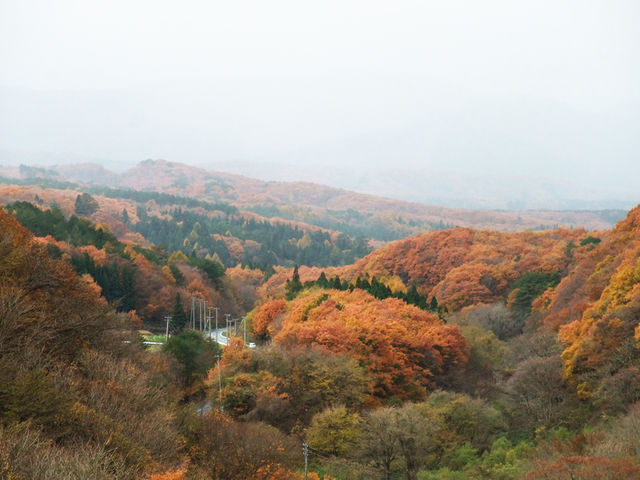 一般社団法人湯本森・里研究所