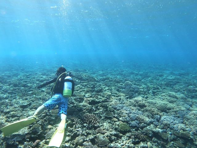 BeNatural Diving