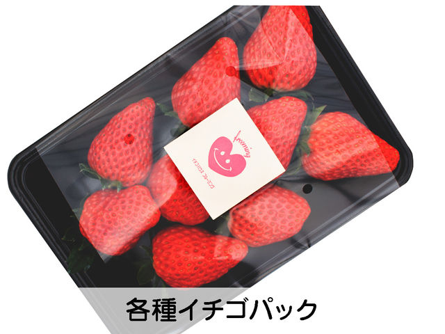 各品種イチゴパックご用意しております。_イチゴハウスフルーミング