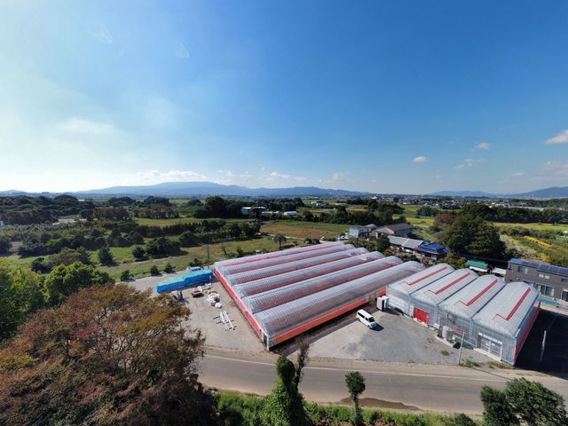 ITADAKI FARM OGORI(いただきいちご園)