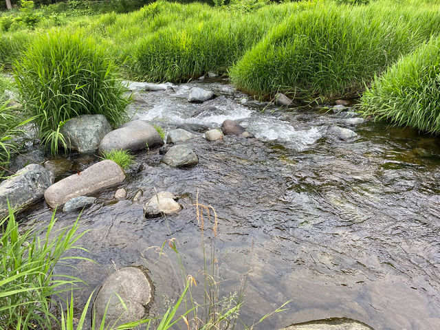 場内にはお子様と遊べる川もございます_Akari かわば田園キャンプ場