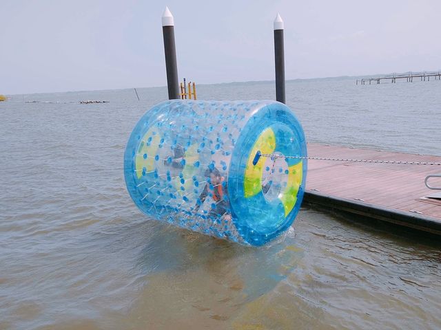 【ウォーターロール】かすみがうらの新コンテンツ!_かすみがうらアクティビティコミッション