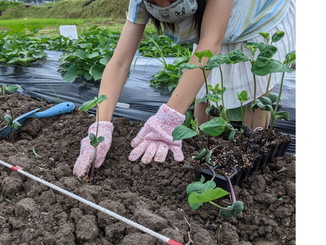 ジコモfarm