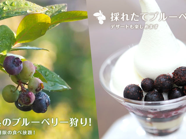 貸切グランピング&BBQ Fuji Farm