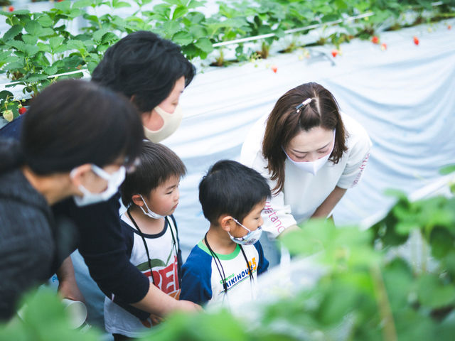 いちご狩りの説明を真剣に聞いてるよぉ〜_まんまイチゴ園