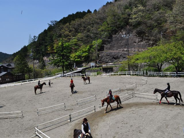 体験だけでなく、メンバー制レッスンも実施しています!_乗馬クラブクレイン三重
