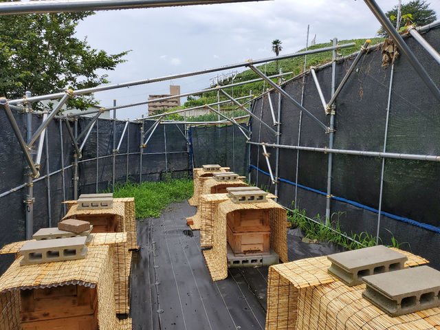養蜂場の様子です。_山国ぶどう園