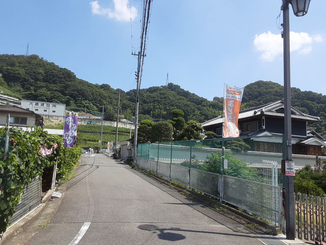 ぶどう園の前の道です_中野(中宗)農園(柏原市観光ぶどうセンター太平寺支部)