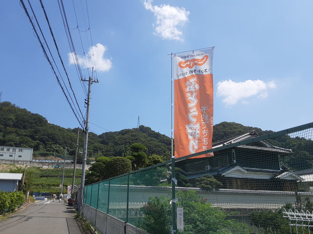 じゃらんの旗の目印です_中野(中宗)農園(柏原市観光ぶどうセンター太平寺支部)