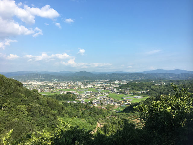 みかん山からの風景_ダイマル農園