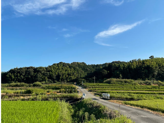田舎のほっこりに癒されますよ_ダイマル農園
