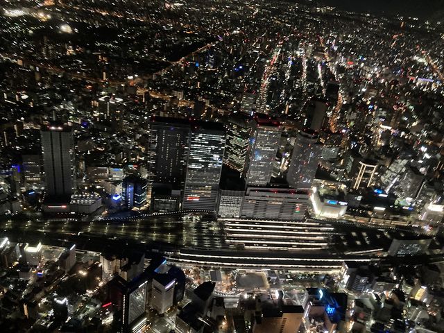 名古屋の夜を楽しむなら!ディナー後は上空デートで夜景ツアー!_気軽に乗れる名古屋ヘリコプター遊覧・クルージング<ISA TRAVEL>