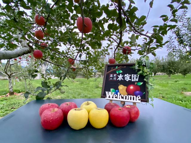 旬のりんごを自分で選んでその場で味わうのは最高の美味しさです。_果実工房 本家園