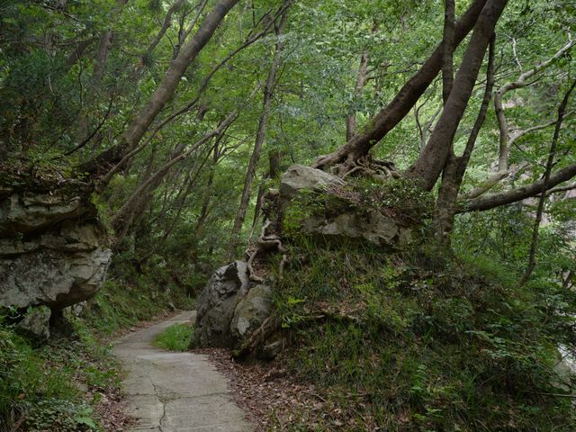 探勝路_Drops 三段峡ネイチャーツアー