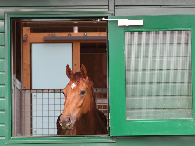 海風が心地よく、馬も部屋でのんびりリラックス_ヴィテン乗馬クラブ・クレイン金沢