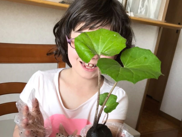 ちびっ子も大歓迎!_和ごころまなび華教室