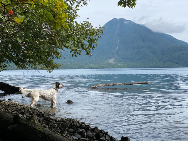 ペットと一緒 1_なまら北海道