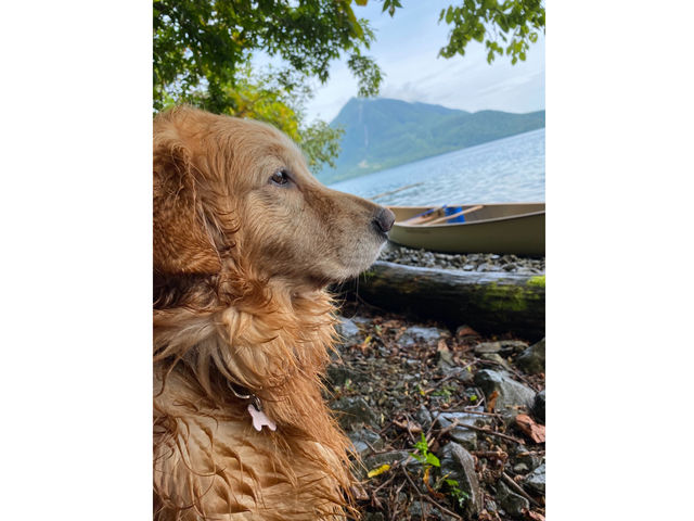 ペットと一緒だから 2_なまら北海道