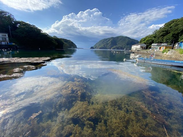 お店の目の前は海!穏やかな景色が広がっています。_VITA マリンフィットネス