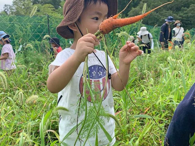 granja rural グランジャ ルラル