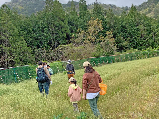 granja rural グランジャ ルラル