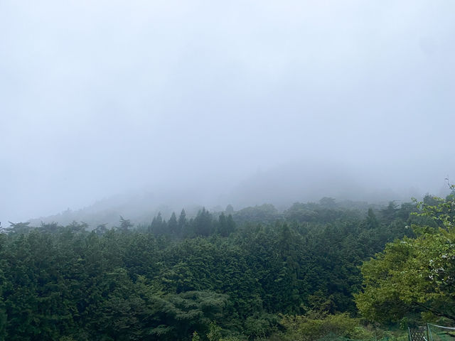 granja rural グランジャ ルラル