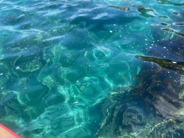 サップの上から見る海の色_SAVE BLEU